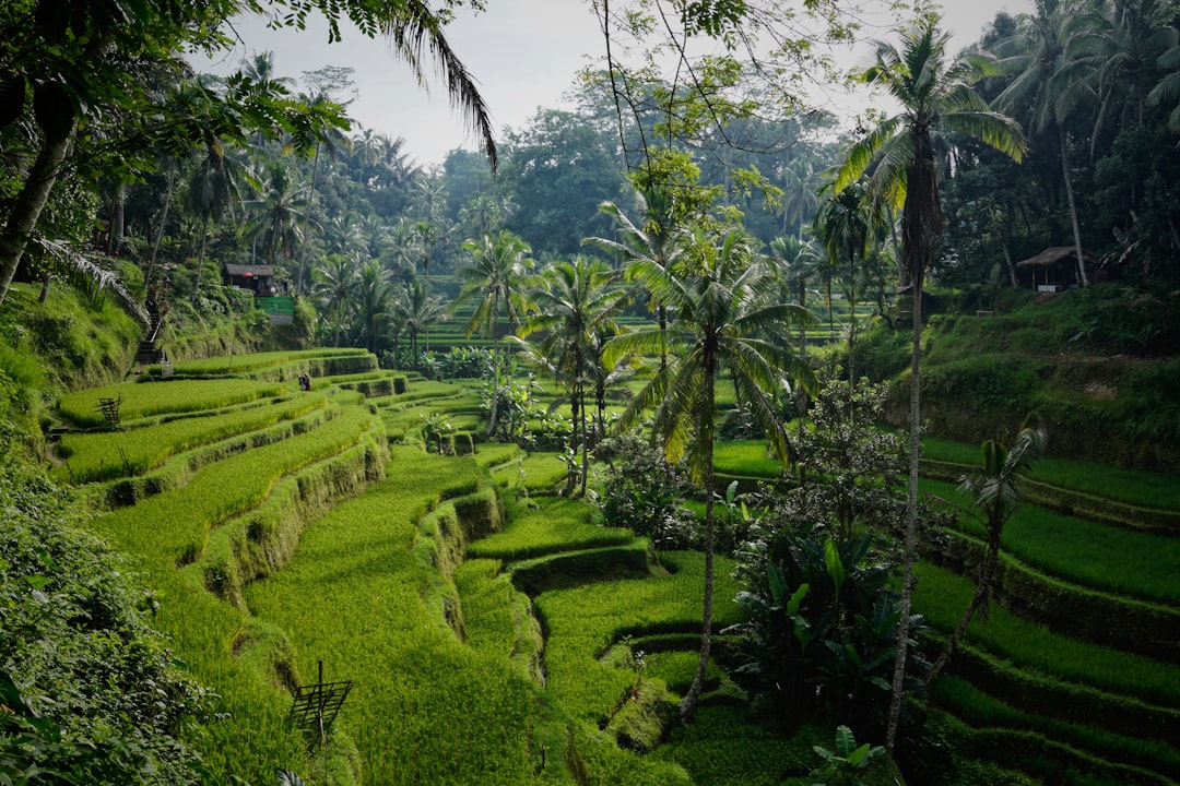 Best hotels in Bali 2026