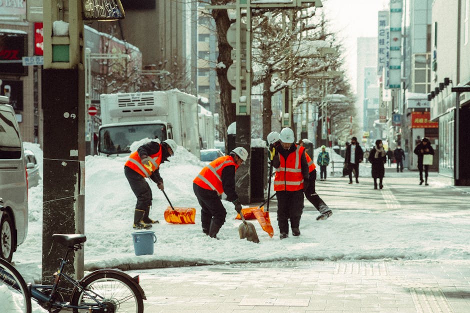 Hokkaido travel guide 2026