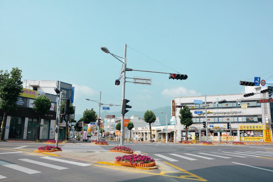 Jeju travel guide 2026