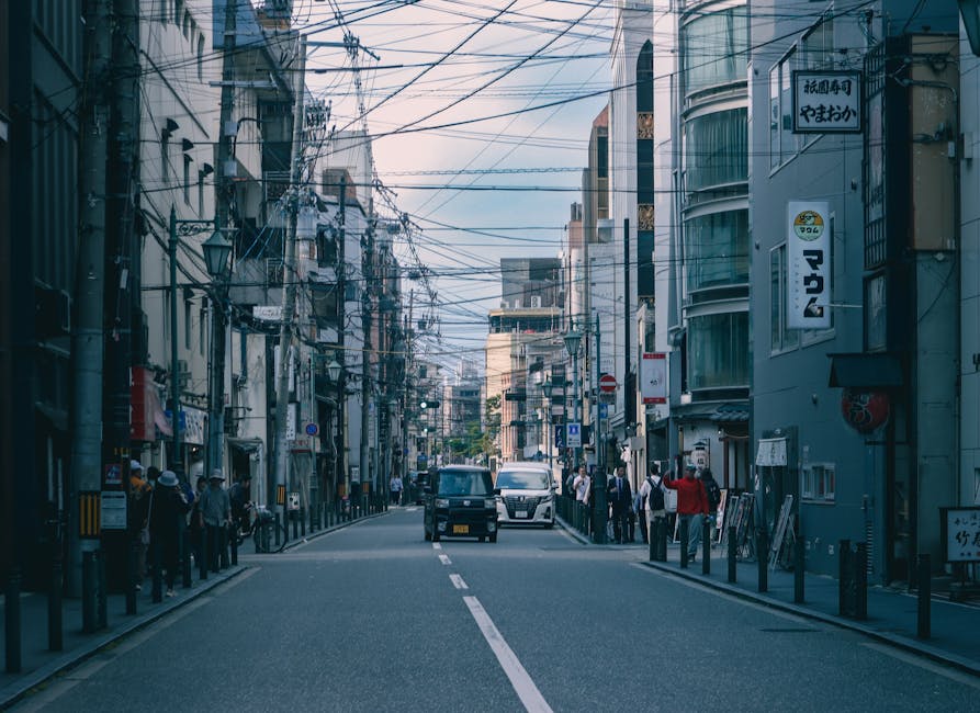 Kyoto travel guide 2026