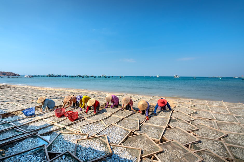 Best hotels in Phu Quoc 2026