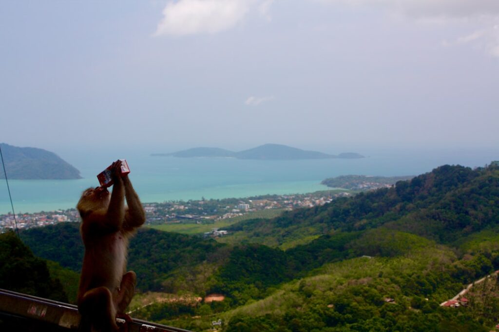 Best hotels in Phuket 2026
