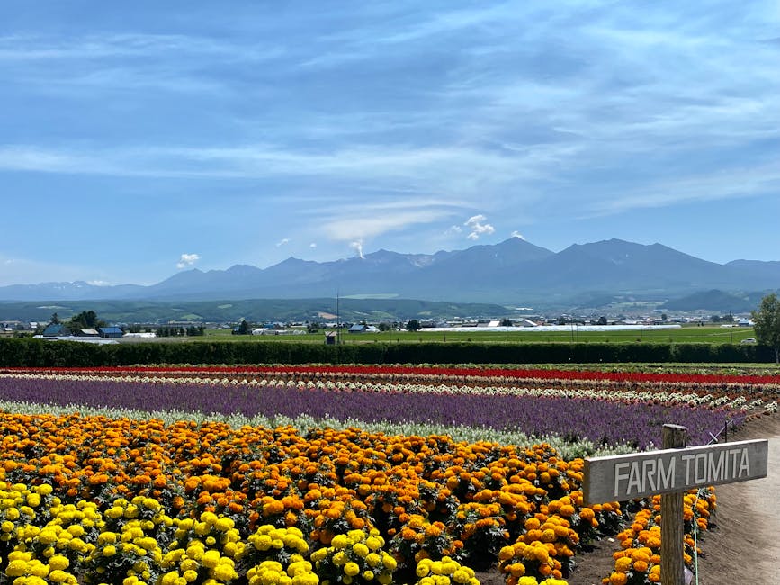 Best hotels in Hokkaido 2026