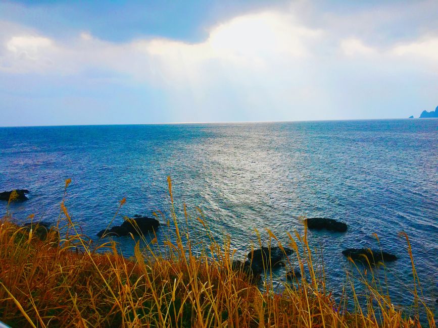 Best hotels in Jeju 2026