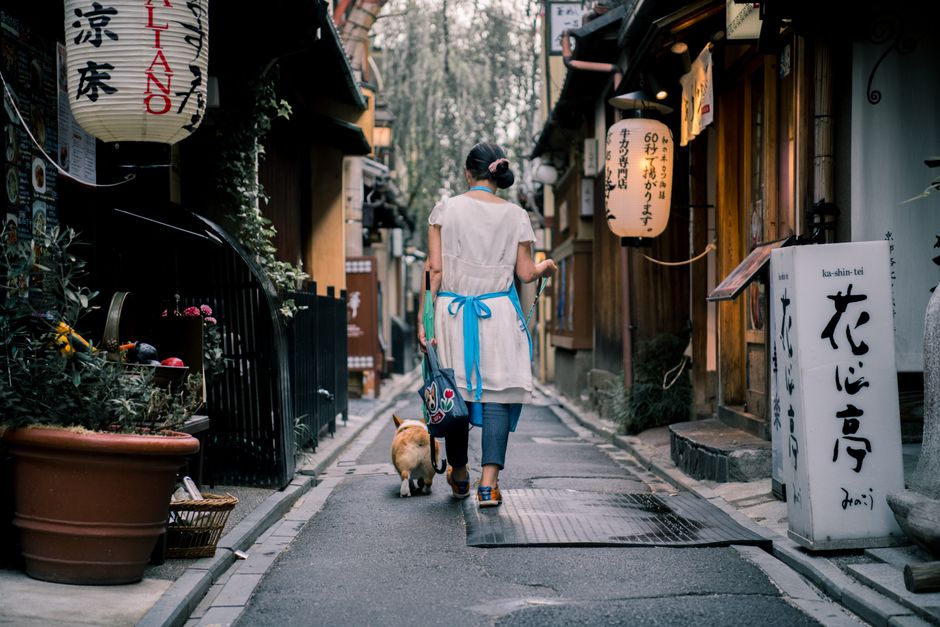 Kyoto travel guide 2026