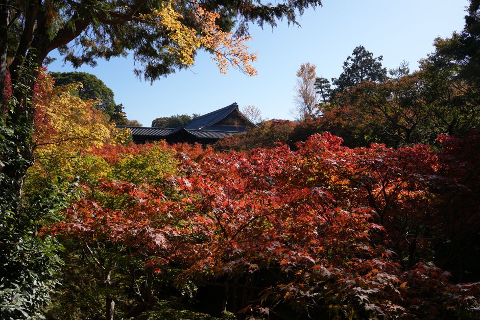 Best hotels in Kyoto 2026