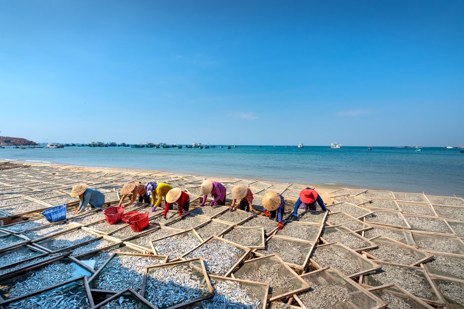 Best hotels in Phu Quoc 2026