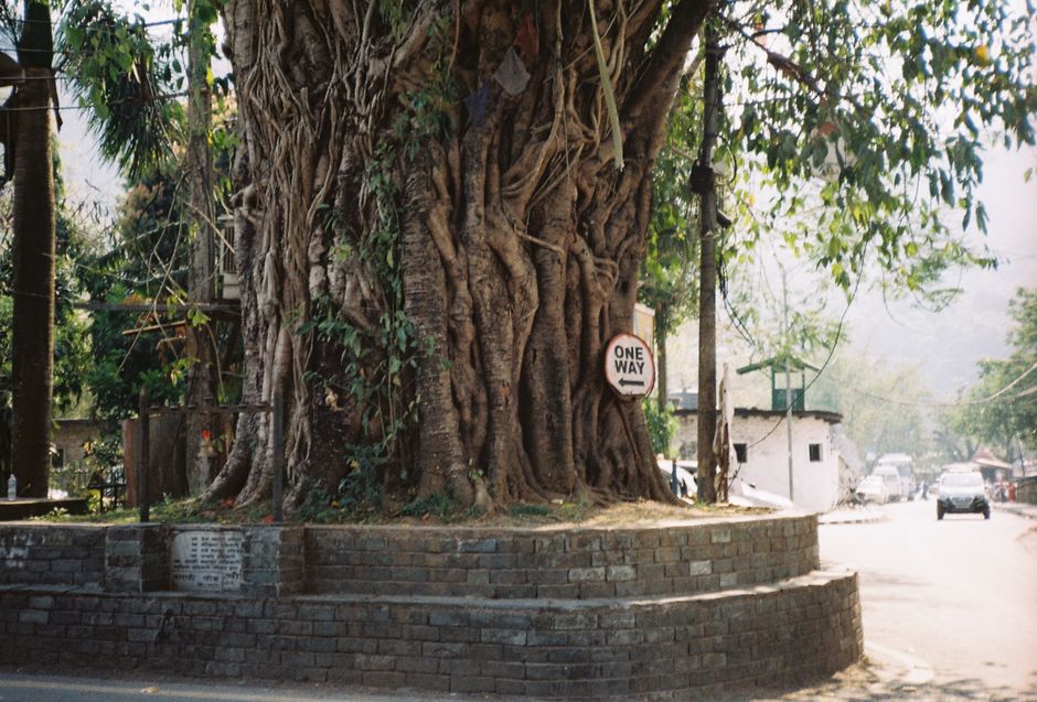 Pokhara travel guide 2026