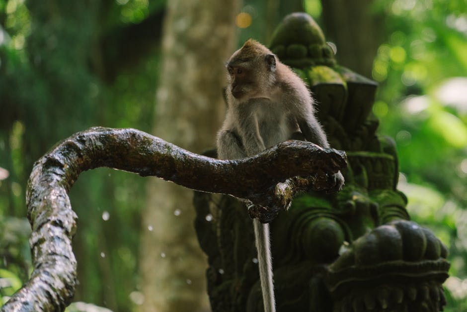 Best hotels in Ubud 2026