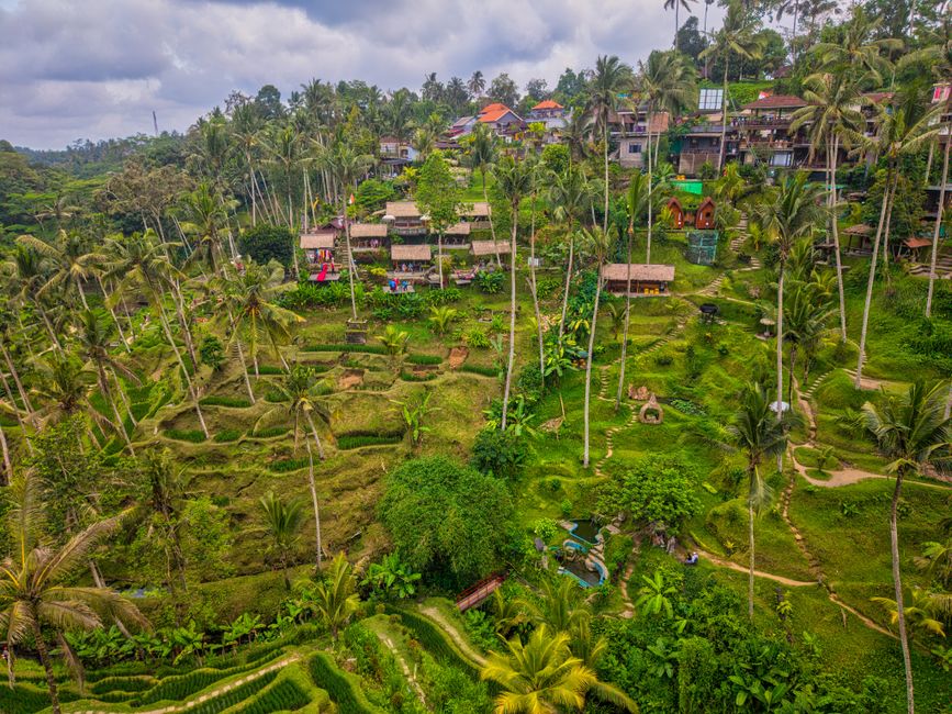 Ubud travel guide 2026