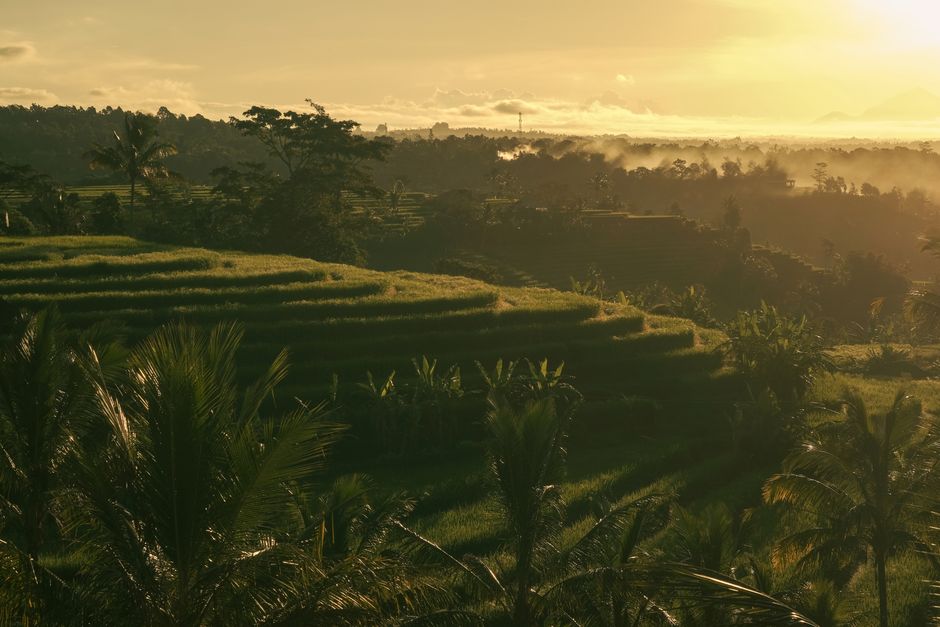 Best hotels in Ubud 2026