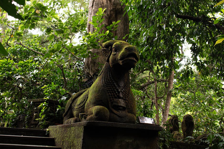 Best hotels in Ubud 2026