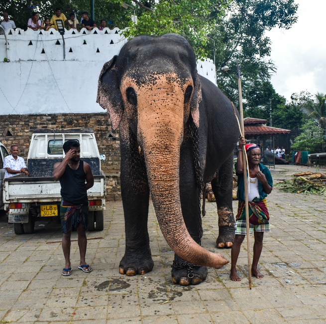 Best hotels in Kandy 2026