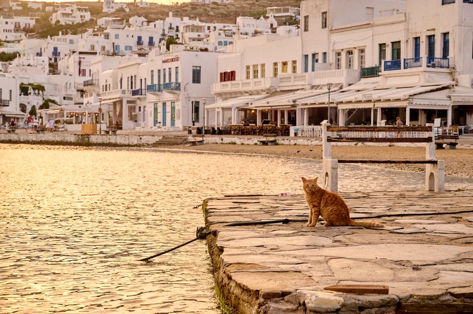 Mykonos travel guide 2026